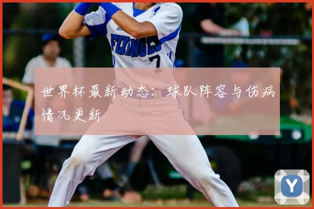 世界杯最新动态：球队阵容与伤病情况更新