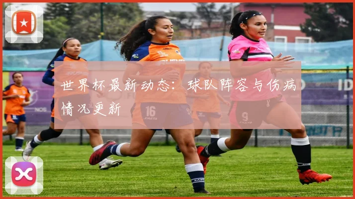 世界杯最新动态:球队阵容与伤病情况更新