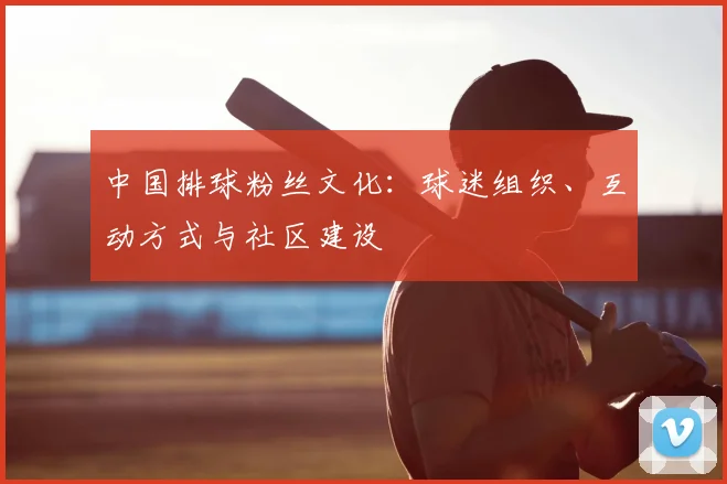 中国排球粉丝文化：球迷组织、互动方式与社区建设