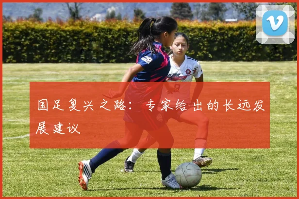 国足复兴之路：专家给出的长远发展建议
